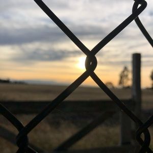 Meet your Posher, Jena